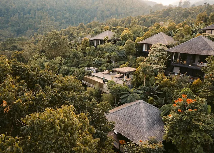 Hotel Munduk Cabins